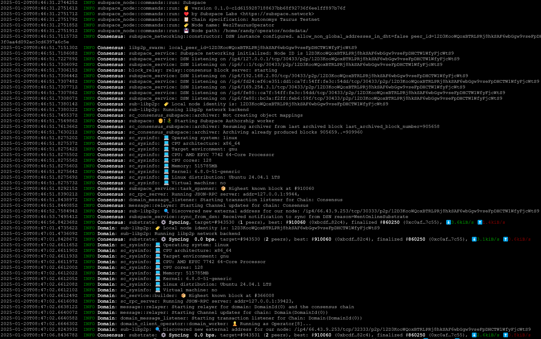 Staking-13